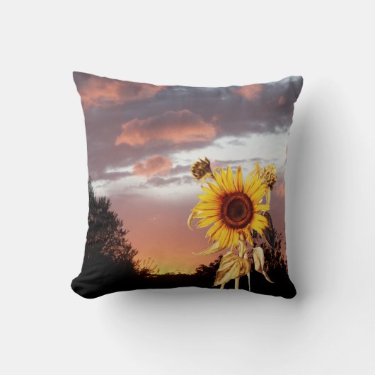 COUSSIN SOLEIL ET COUCHER DE SOLEIL ÉTÉ (Recto)