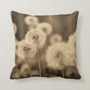 Coussin Souhaits
