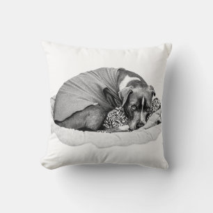 Coussin Soul reposante dans la chasse de la saison