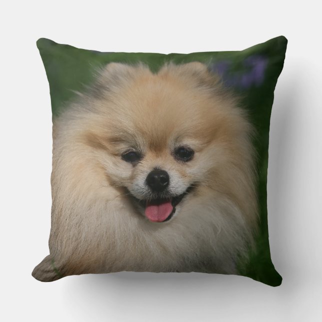 Coussin Sourire de Pomeranian (Recto)