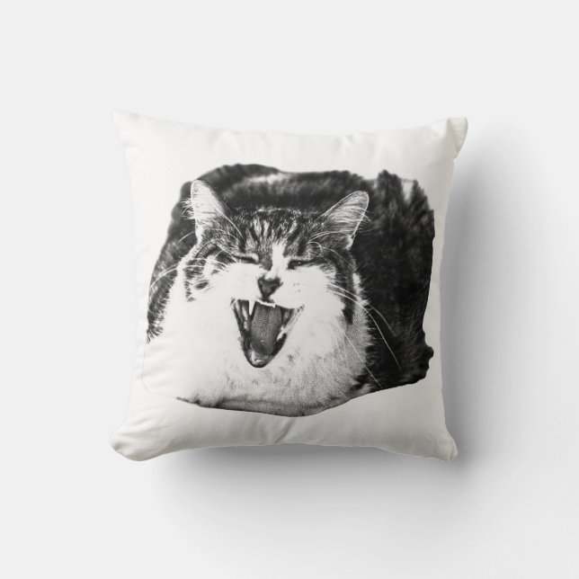 Coussin Sourire endormi, chat en peluche (Recto)