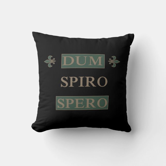 Coussin sperme spiro (Recto)
