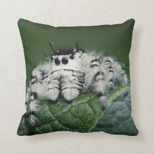 Coussin Spider de la Métaphide