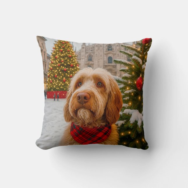 Coussin Spinone Italiano  (Recto)