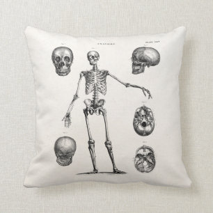 Coussin Squelettes antiques squelettiques d'anatomie de