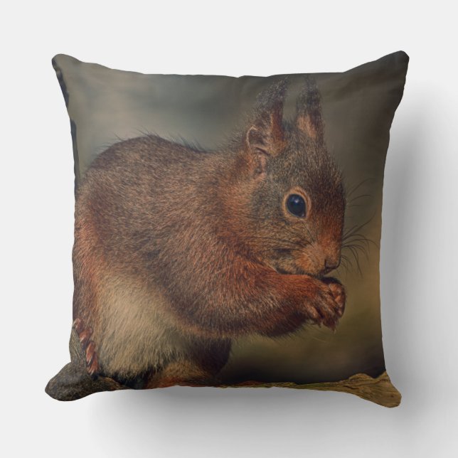 Coussin Squirrel (Recto)