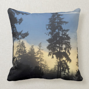 Coussin Stanley Park, bois, couche marine brouillard roula