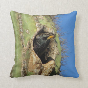 Coussin Starling au Saguaro Cactus Photo Southwest Bird