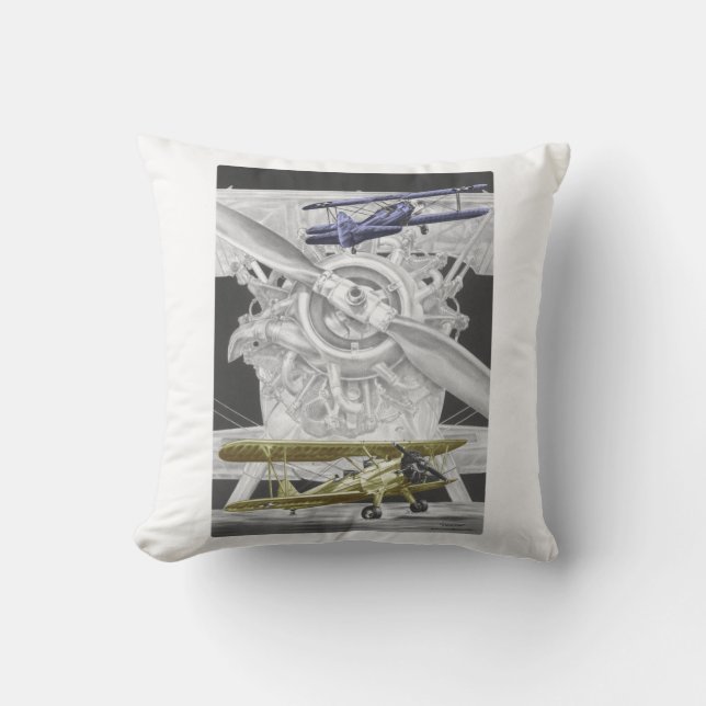 Coussin Stearman Biplane (Recto)