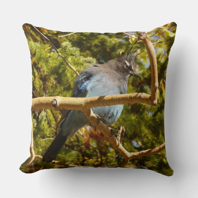 Coussin Steller's Jay au parc national Rocky Mountain (Recto)