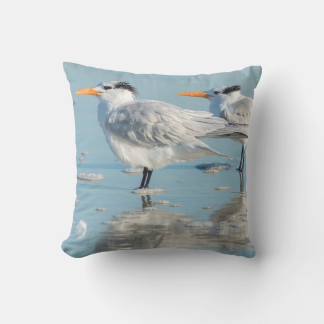 Coussin Sternes royales sur la plage (Recto)