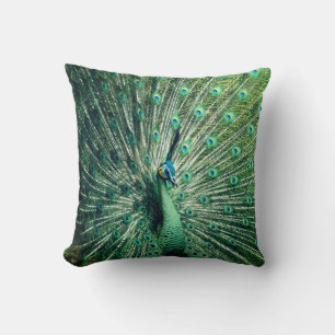 Coussin Strut Peacock