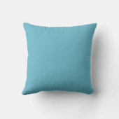 Coussin Style Sud-Ouest Symétrique Motif Tan Turquoise (Verso)