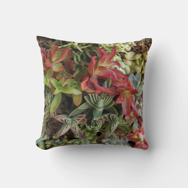 Coussin Succulent (Recto)