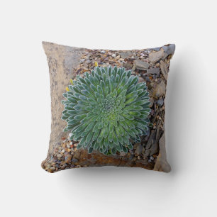Coussin Succulent plante du désert