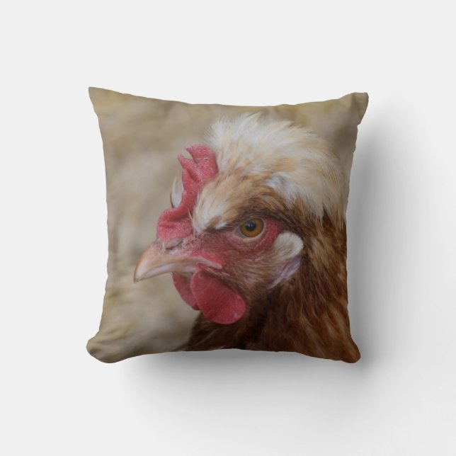 Coussin Sulmtaler Hen (Recto)