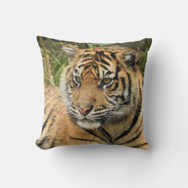 Coussin Sumatran Tiger Club (Recto)