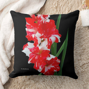 Coussin Superbe Lys d'épée Floral Rouge & Blanc Gladiolus