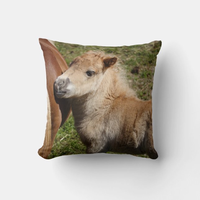 Coussin Sweet Haflinger Foal (Recto)