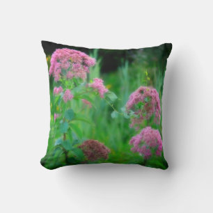 Coussin Sweet Joe Pye Fleur sauvage de mauvaises herbes