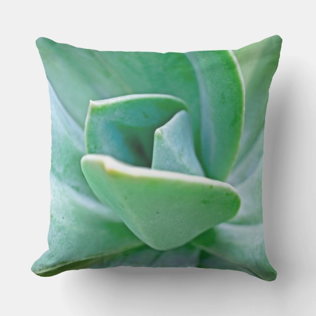 Coussin Swirl Succulent (Recto)