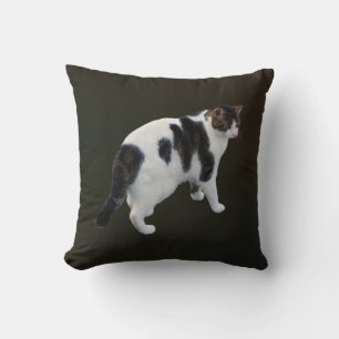 Coussin Tabby Blanc Avec Patches Sombres