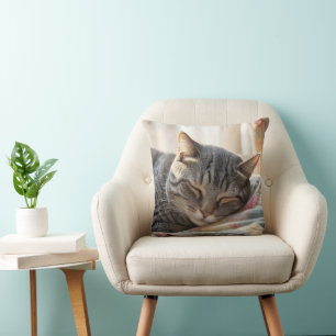 Coussin Tabby Chat Dormir Sur Une Ancienne Couette