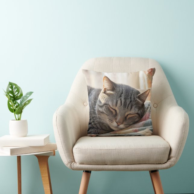 Coussin Tabby Chat Dormir Sur Une Ancienne Couette (Chaise)