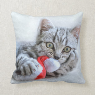 Coussin Tabby gris mou Chat avec Noël Casquette