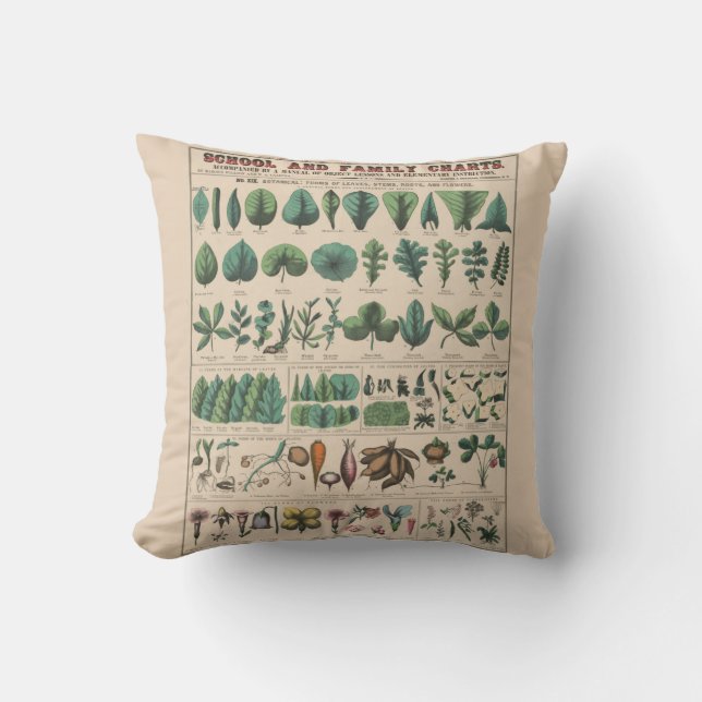 Coussin Tableau antique de l'école botanique, nature vinta (Recto)