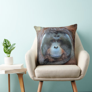 Coussin Takai