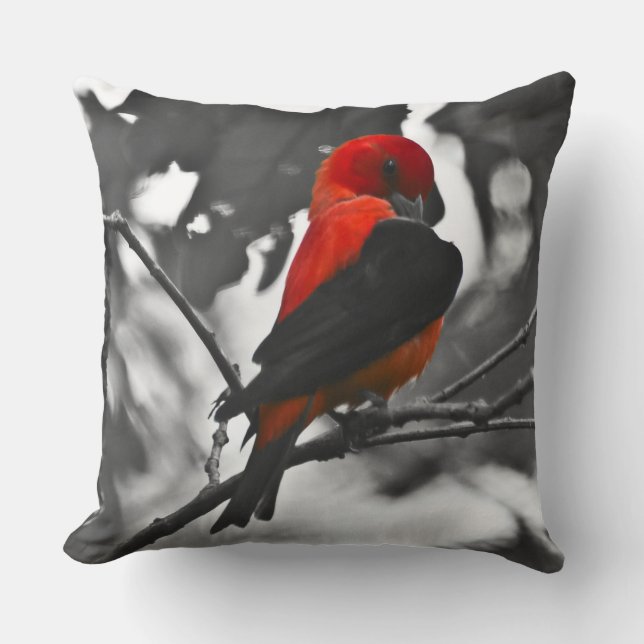 Coussin Tangara écarlate mâle (Recto)