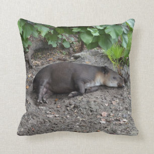 Coussin tapir dormant sur le sable