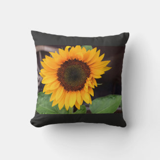 Coussin Tasse bicolore, 45 cl