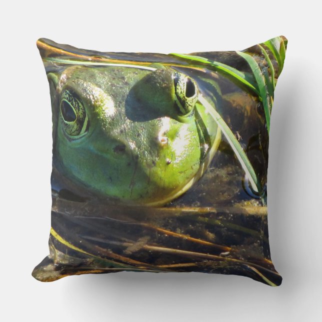 Coussin Tatiller de grenouille (Recto)