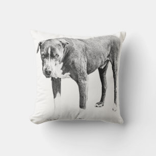 Coussin Taureau Pit Ombragé