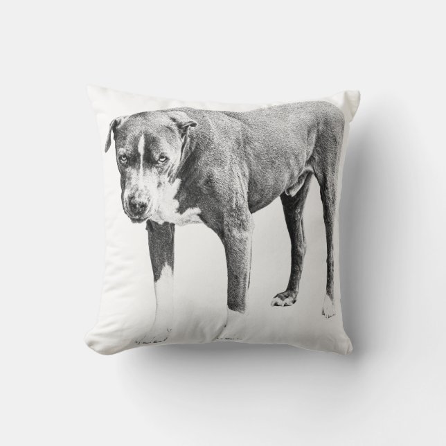 Coussin Taureau Pit Ombragé (Recto)