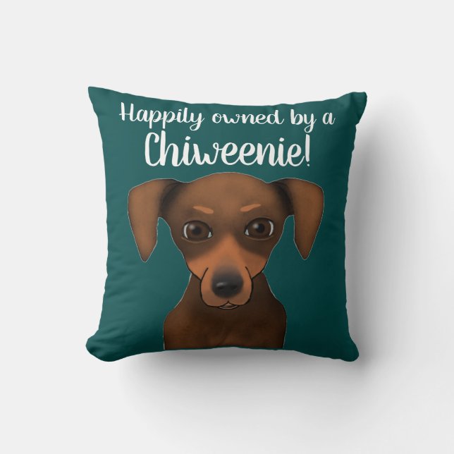 Coussin Teckel heureusement possédé mignon de chiwawa de (Recto)