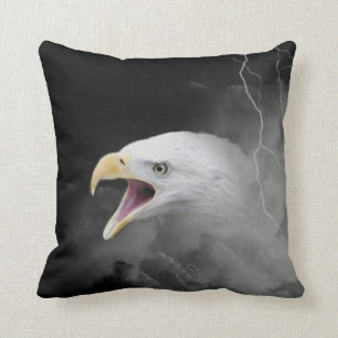 Coussin Tempête d'aigle