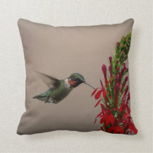 TEMPS DE CASSE-CROÛTE