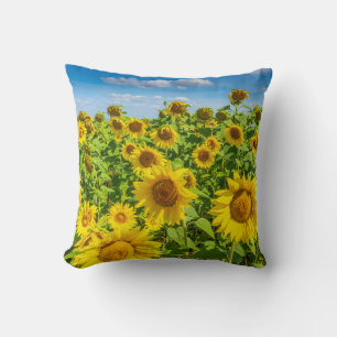 Coussin Terrain de tournesol, ensoleillé l'été.