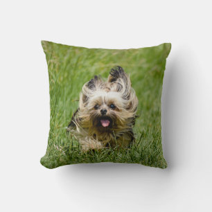 Coussin Terrier Yorkshire mignon Traversant L'Herbe