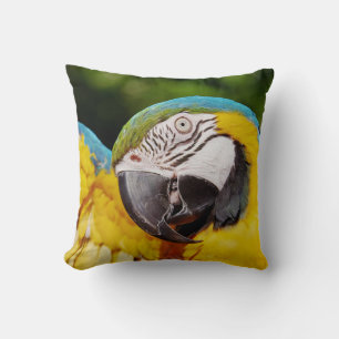 Coussin Tête d'un Macaw bleu et jaune