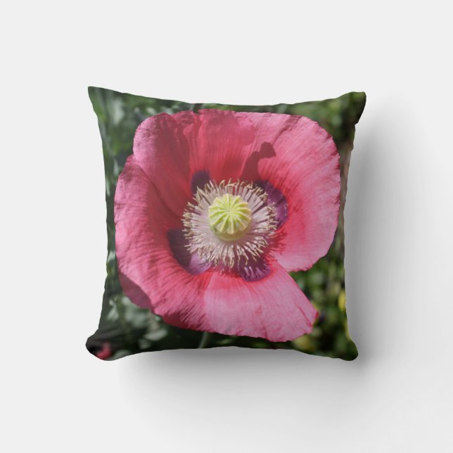 Coussin Texas Pink Skullcap (Recto)