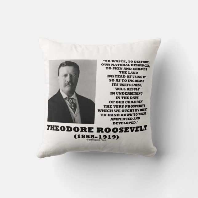 Coussin Théodore Roosevelt Détruire les déchets Ressources (Verso)