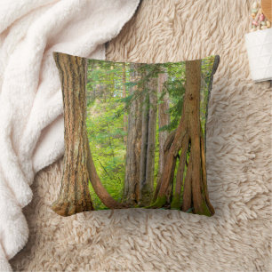 Coussin Thuya géant de l'Ouest État de Washington