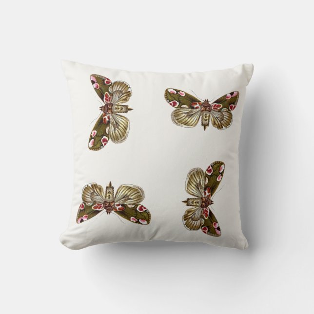Coussin Thyatira batis - La teigne de fleur de la peau (Recto)