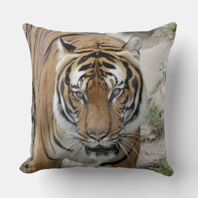 Coussin Tiger_001 (Recto)