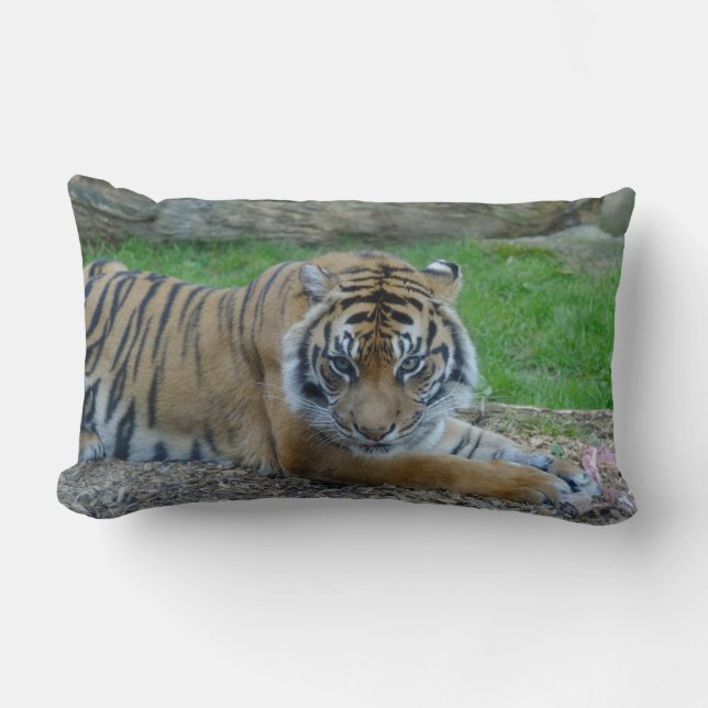 Coussin Tiger Lumbar de papa (Recto)