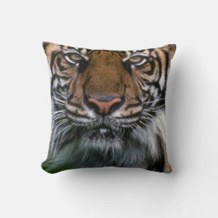 Coussin Tiger tête et visage